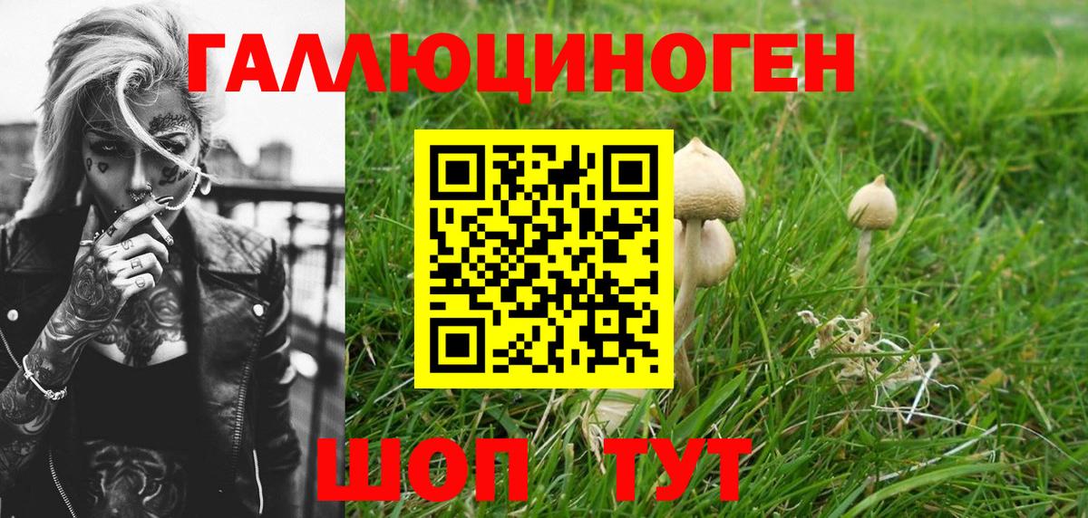 Галлюциногенные грибы Psilocybe  Вход с VPN  Новый Уренгой 